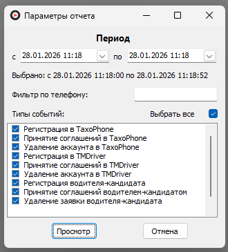 Форма ввода параметров отчета перед его выводом.